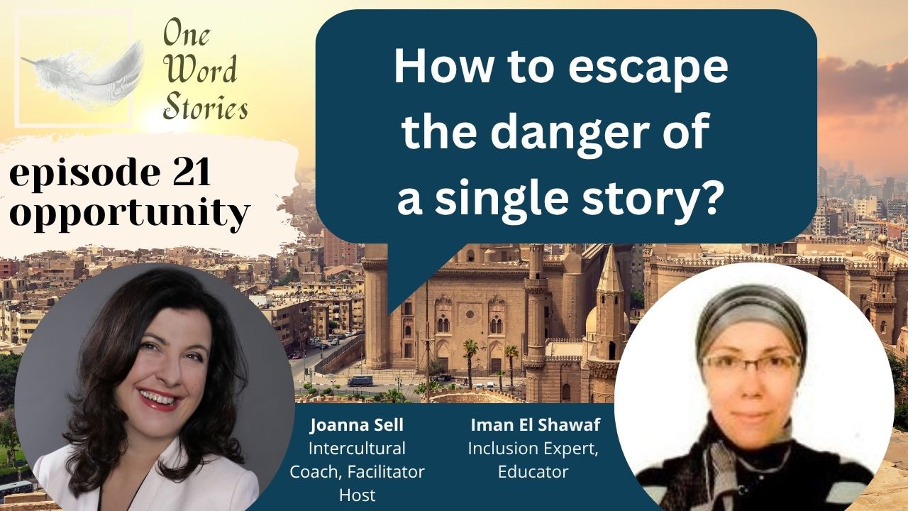 Episode 21 - Iman El Shawaf